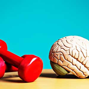 Exercise and the Brain