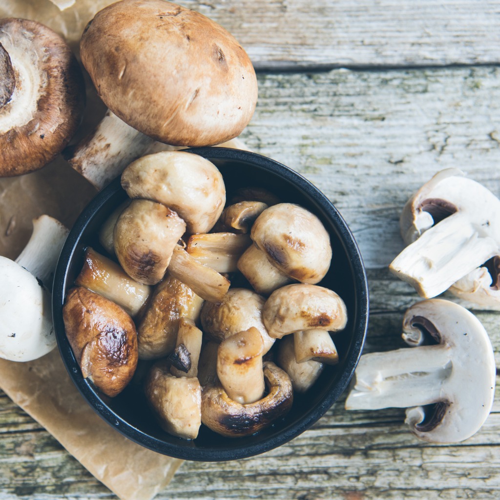 Mushrooms to Fight Cognitive Decline